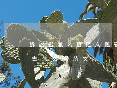 訴訟書怎么寫范文(撫養(yǎng)權訴訟書怎么寫范文)