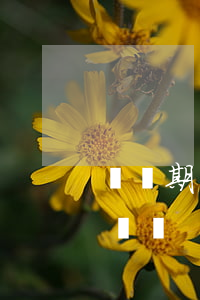 訴訟期間可以終止合同嗎(合同終止了還能起訴嗎)