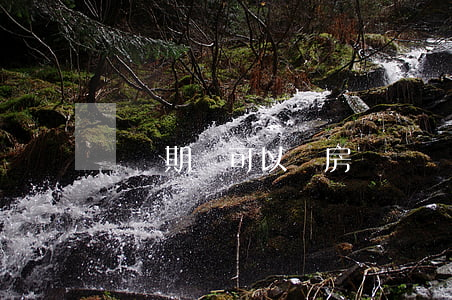 訴訟期間可以賣房嗎(訴訟期間可以賣房嗎)