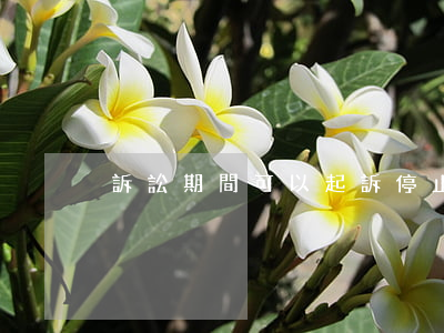 訴訟期間可以起訴停止侵害嗎(訴訟的中止)