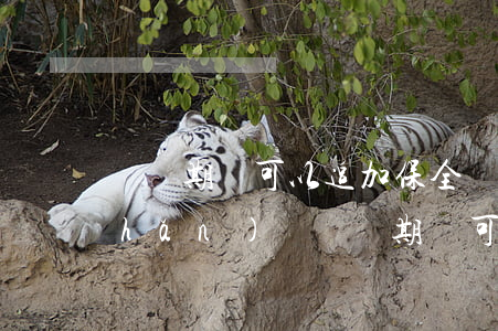 訴訟期間可以追加保全財(cái)產(chǎn)嗎(訴訟期間可以申請(qǐng)財(cái)產(chǎn)保全嗎?)