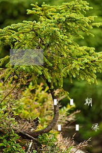 訴訟期間工資賬號可以保全嗎(起訴個人可以訴訟保全嗎)