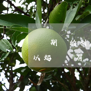 訴訟期間的利息可以起訴嗎(借錢利息不還可以起訴嗎?有訴訟時效嗎?)
