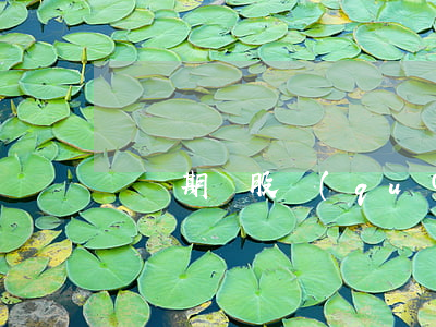 訴訟期間股權(quán)變動有限制嗎