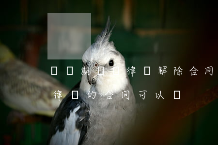 訴訟期間與律師解除合同可以嗎(我想解除和律師的合同可以嗎?)
