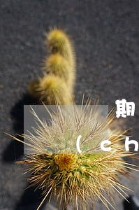 訴訟期間被告可以轉(zhuǎn)移財產(chǎn)嗎(被起訴人在起訴期間把財產(chǎn)轉(zhuǎn)移會怎么樣)