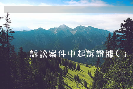 訴訟案件中起訴證據(jù)的要求