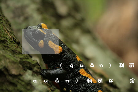訴訟權(quán)利可以放棄嗎(訴訟權(quán)利可以約定放棄嗎)