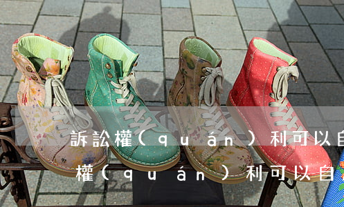 訴訟權(quán)利可以自愿放棄嗎(訴訟權(quán)利可以自愿放棄嗎)