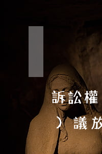 訴訟權(quán)利可以通過協(xié)議放棄嗎(協(xié)議放棄訴訟是否有效)