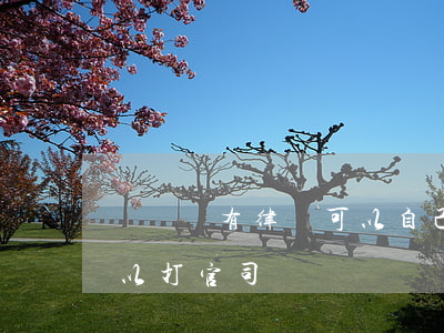 訴訟沒有律師可以自己提嗎(沒有律師自己可以打官司嗎)