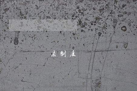 訴訟法制度