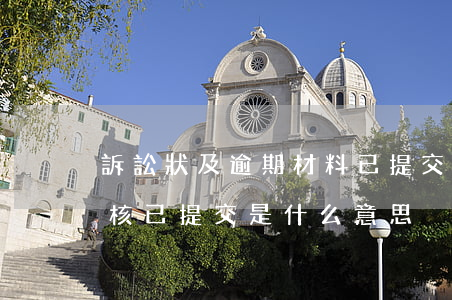 訴訟狀及逾期材料已提交法院審查-訴訟審核已提交是什么意思