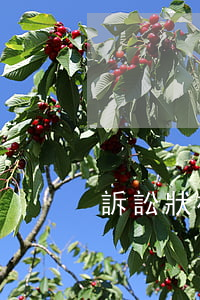 訴訟狀模板