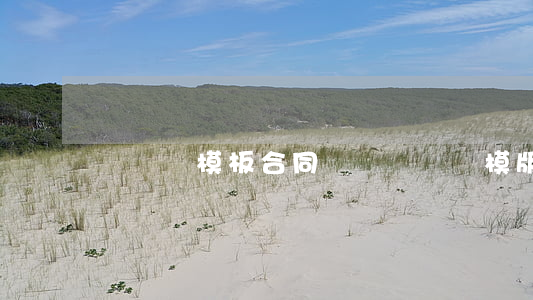 訴訟狀模板合同糾紛(訴訟狀模版合同糾紛)