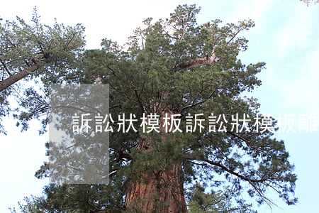 訴訟狀模板(訴訟狀模板 離婚)