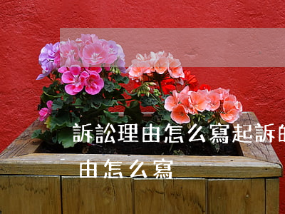 訴訟理由怎么寫(起訴的事實(shí)和理由怎么寫)