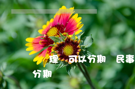 訴訟理賠可以分期嗎(民事訴訟賠償款能不能分期)