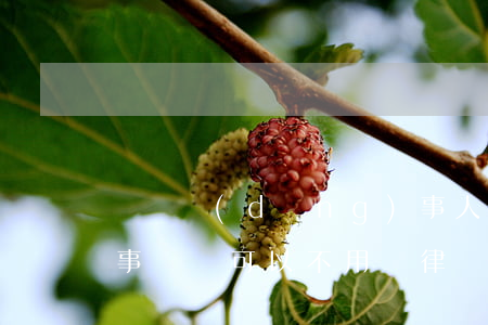 訴訟當(dāng)事人可以不請律師嗎(民事訴訟可以不用請律師嗎)