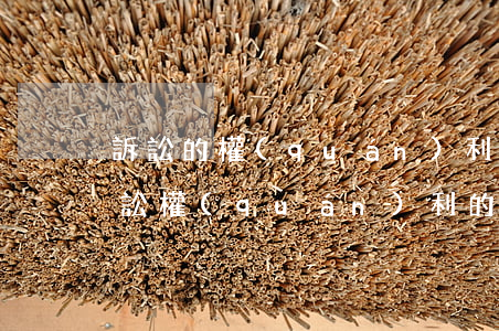 訴訟的權(quán)利可以放棄嗎(放棄訴訟權(quán)利的聲明)