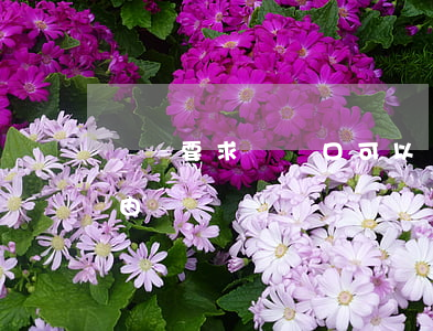 訴訟要求遷戶口可以嗎(起訴遷戶口是什么案由)