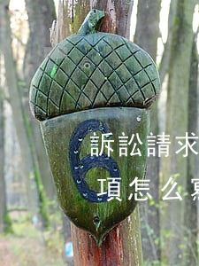 訴訟請求內(nèi)容怎么寫(起訴請求事項怎么寫)