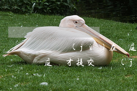 訴訟證據(jù)在開庭時提交可以嗎(被告開庭時才提交證據(jù)可以嗎)