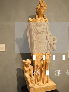 訴訟財產(chǎn)保全保險可以退保嗎(保險退保能全退嗎)