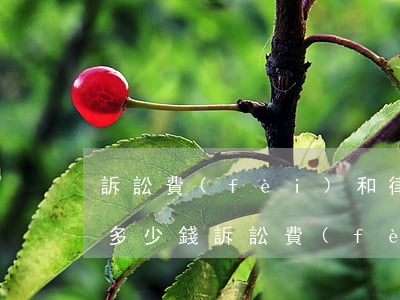 訴訟費(fèi)和律師費(fèi)一般多少錢(訴訟費(fèi)和律師費(fèi)一般多少錢)