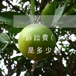 訴訟費(fèi)是多少(訴訟費(fèi)是多少錢(qián))