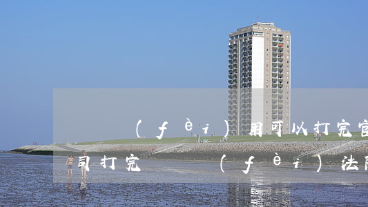 訴訟費(fèi)用可以打完官司再還嗎(官司打完訴訟費(fèi)法院多久才退得下來)