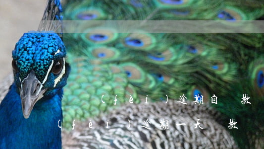 訴訟費(fèi)逾期自動撤銷(法院訴訟費(fèi)逾期一天會撤訴嗎)