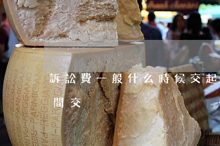 訴訟費一般什么時候交(起訴后訴訟費什么時間交)