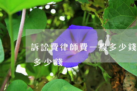 訴訟費律師費一般多少錢(訴訟費律師費一般多少錢)