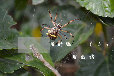 訴訟費用的收費標(biāo)準(zhǔn)(訴訟費用的收費標(biāo)準(zhǔn)有哪些)