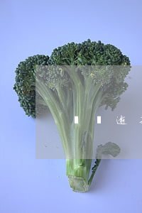 訴訟逾期利息計算(逾期利息的計算)