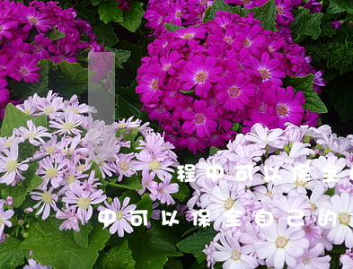 訴訟過程中可以保全自己的財產嗎(訴訟過程中可以保全自己的財產嗎)