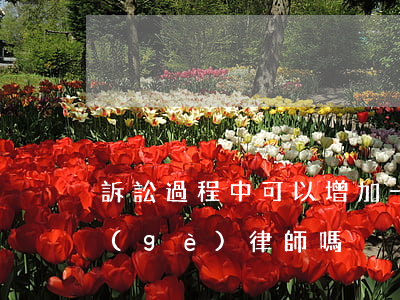 訴訟過程中可以增加一名律師嗎(可以請一個(gè)律師嗎)