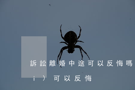 訴訟離婚中途可以反悔嗎(離婚多久內(nèi)可以反悔)