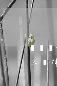 訴訟離婚人不請律師行嗎(起訴離婚請律師和不請律師的區(qū)別)