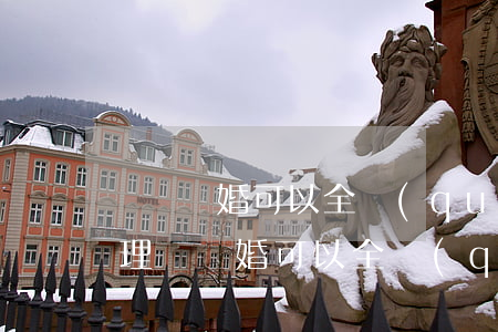 訴訟離婚可以全權(quán)委托律師辦理嗎(離婚可以全權(quán)委托律師代理嗎)