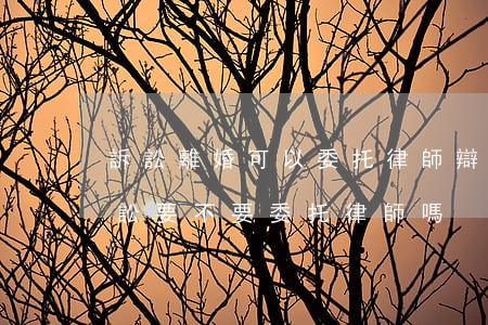 訴訟離婚可以委托律師辯護嗎(第一次離婚訴訟要不要委托律師嗎)