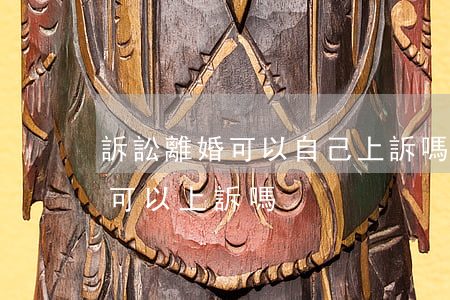 訴訟離婚可以自己上訴嗎(離婚訴訟判決離婚可以上訴嗎)