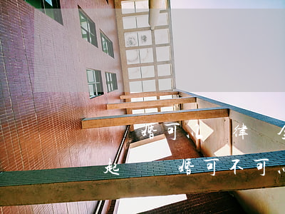 訴訟離婚可以請律師全權(quán)處理嗎(起訴離婚可不可以全權(quán)委托律師)