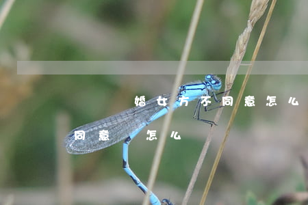 訴訟離婚女方不同意怎么辦(起訴離婚女方不同意該怎么辦)