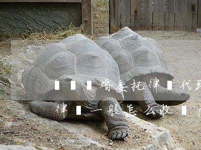 訴訟離婚委托律師代理多少錢(代理離婚案件律師一般怎么收費(fèi))