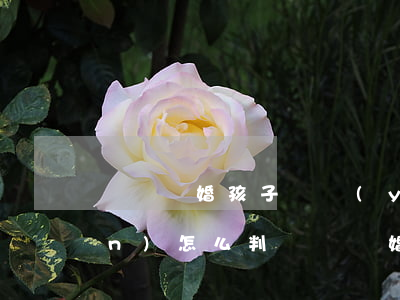 訴訟離婚孩子撫養(yǎng)權(quán)怎么判(訴訟離婚孩子撫養(yǎng)權(quán)怎么判)