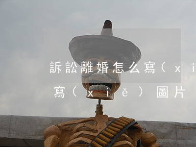 訴訟離婚怎么寫(xiě)(離婚起訴狀怎么寫(xiě)圖片)