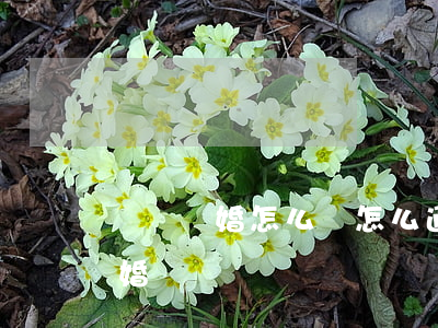 訴訟離婚怎么離(怎么通過(guò)訴訟離婚)