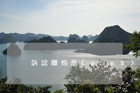 訴訟離婚應(yīng)該怎么做